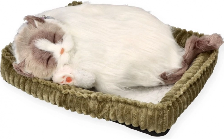 Realistyczny sen dla ukojenia