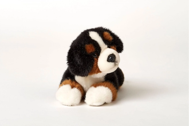 Bernese Mountain Plush Dog 25 cm