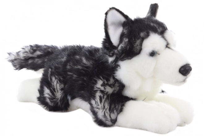 Plush Lying Husky