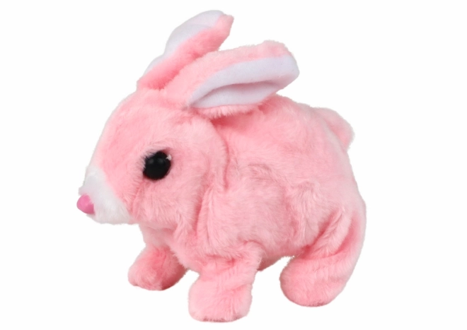 Interactive Walking Pink Bunny Toy