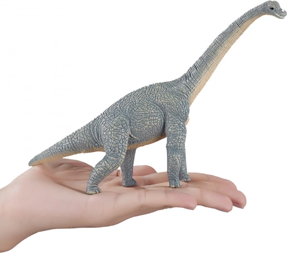 Praktična velikost za igro in zbirko