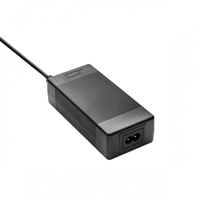 Electric vehicle charger 29.4v 60w with XLR connector