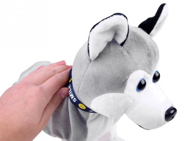 Interactive Husky Puppy