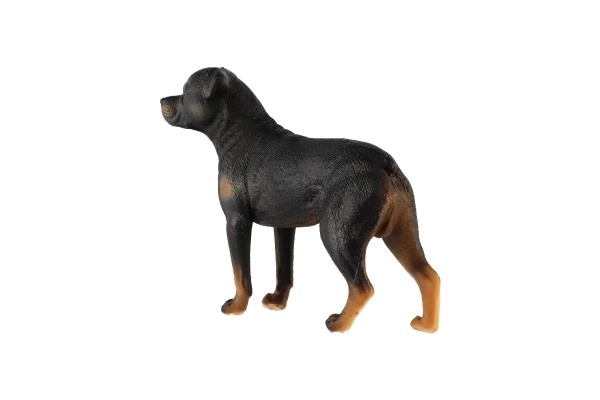 Rottweiler Toy Dog