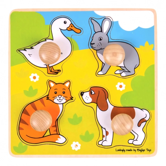 Bigjigs toys animal shaped wooden insert puzzle