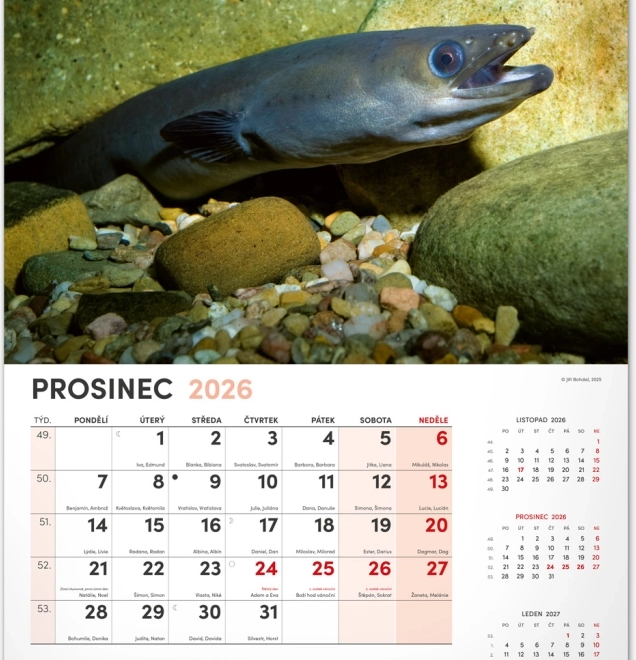 Calendrier mural de pêche 2026