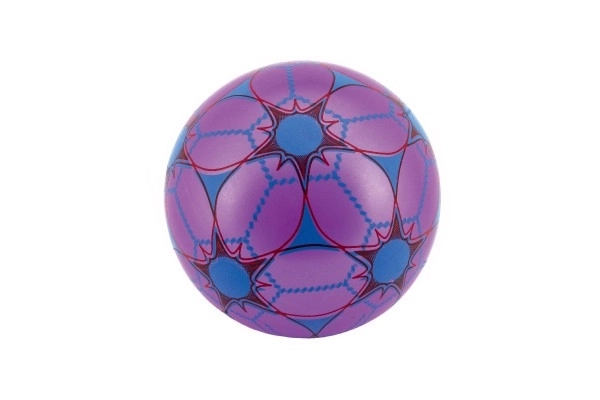 Colorful Inflatable Ball