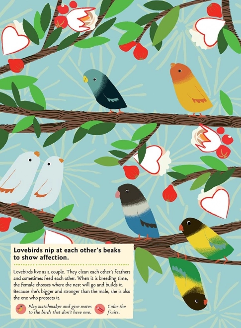 My Nature: Birds of the World Activity Book with Stickers