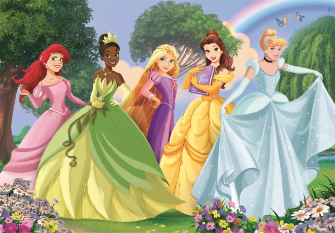 Betoverend Disney-prinsessenmotief