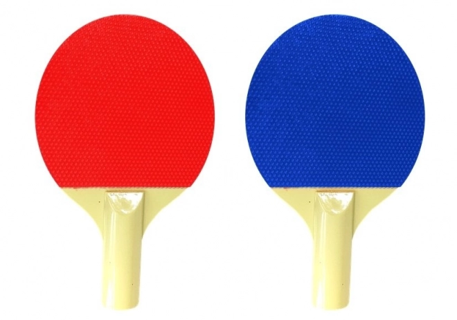 Table Tennis Set with Paddles and Balls