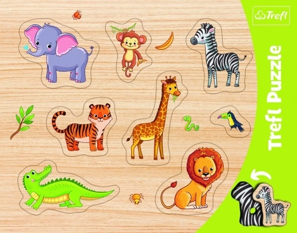 Safari Animal Shape Sorter