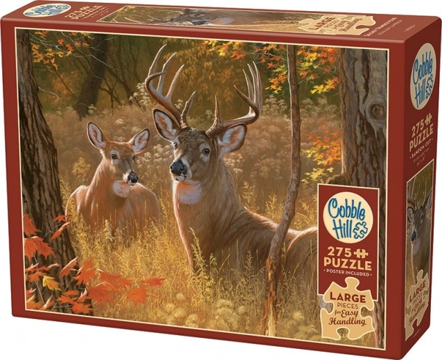 Edizione Easy Handling + poster guida