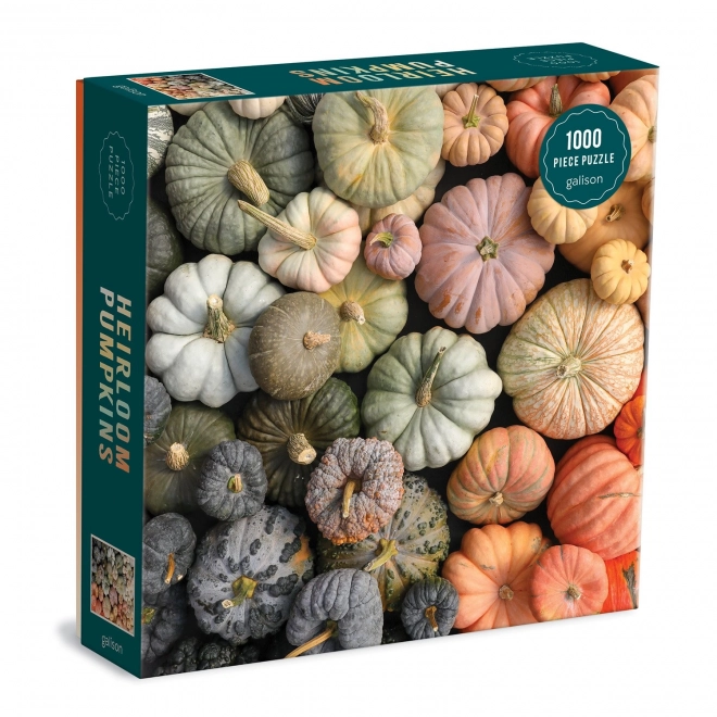 Galison Autumn Decorative Gourds Puzzle