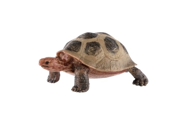 Large Seychelles Land Tortoise Toy, 8cm