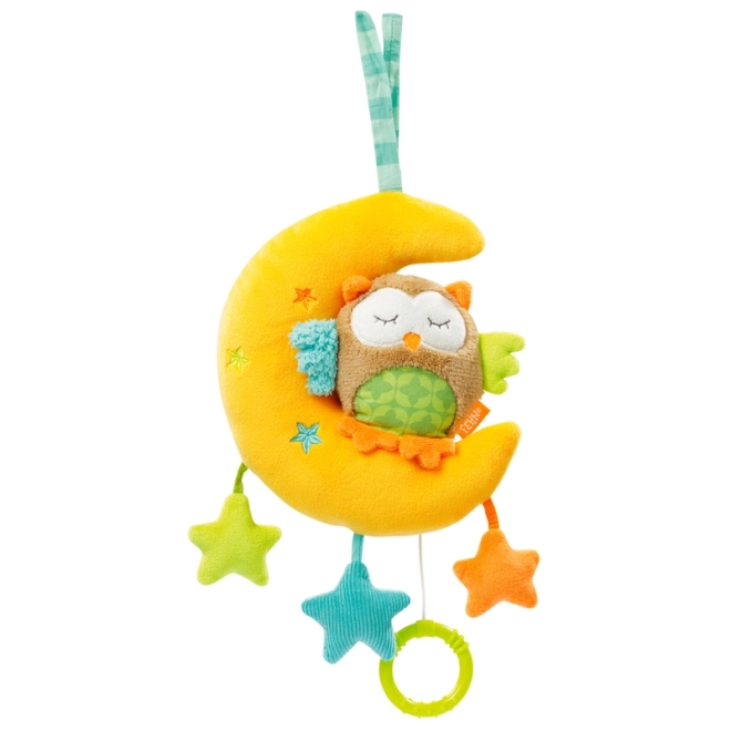 Forest Owl And Moon Musical Toy