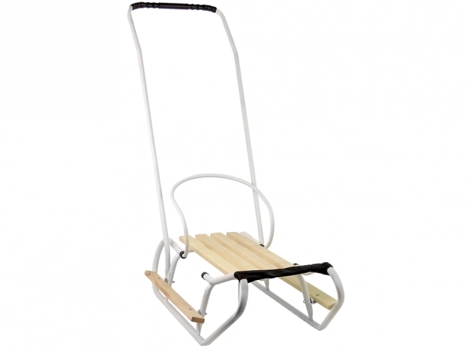 Metal sled with push handle white