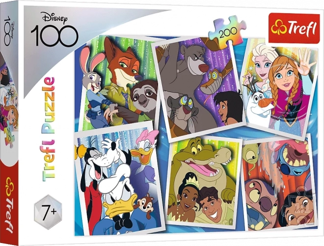 Disney Characters 100th Anniversary Puzzle