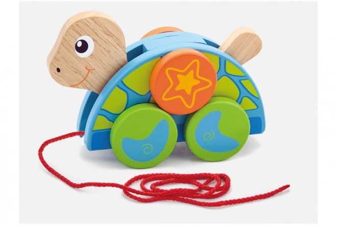 Wooden Pull Toy Turtle