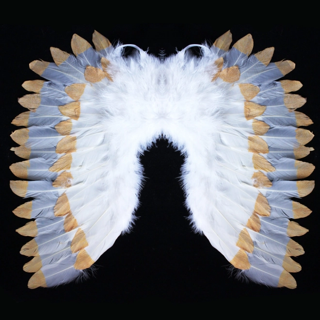 Angel Wings with Feather White-Gold