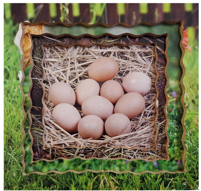 Chicken Life Cycle Wooden Layered Puzzle