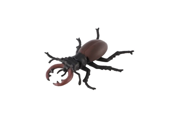 Common Stag Beetle Toy 8cm