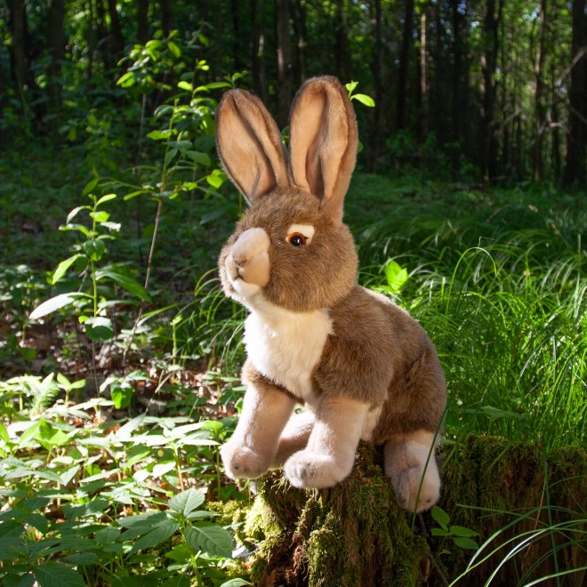 Eco-friendly Plush Hare 30 cm