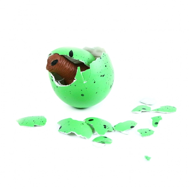 Growing Dinosaur Egg Toy