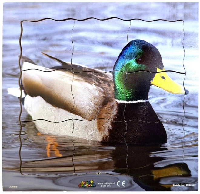 Duck Life Cycle Wooden Layered Puzzle