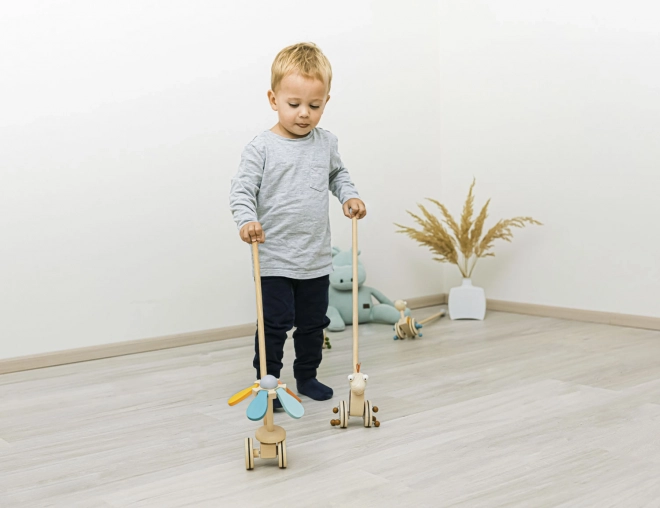 Wooden Dinosaur Push Toy