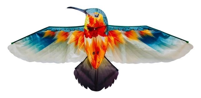 Kite Hummingbird