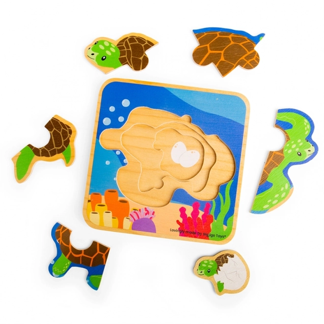 Wooden Turtle Life Cycle Puzzle