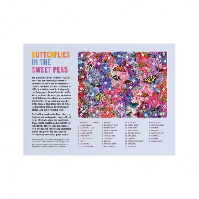 Butterflies in Sweet Peas Puzzle 1000 Pieces