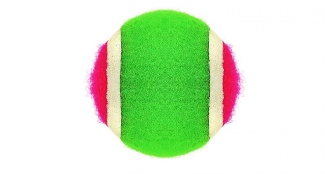 Velcro Catch Ball Game Set with Paddle and Ball