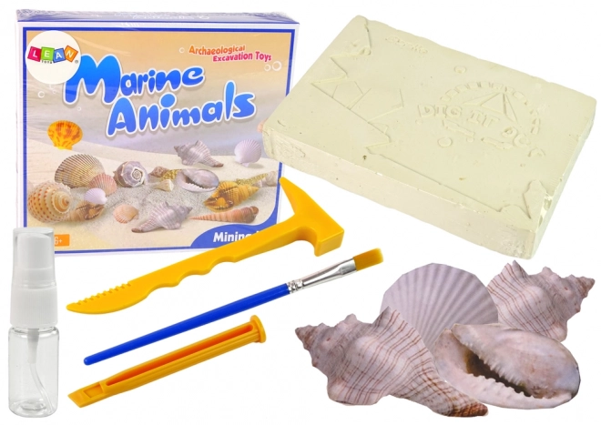 Marine Fossil Discovery Kit