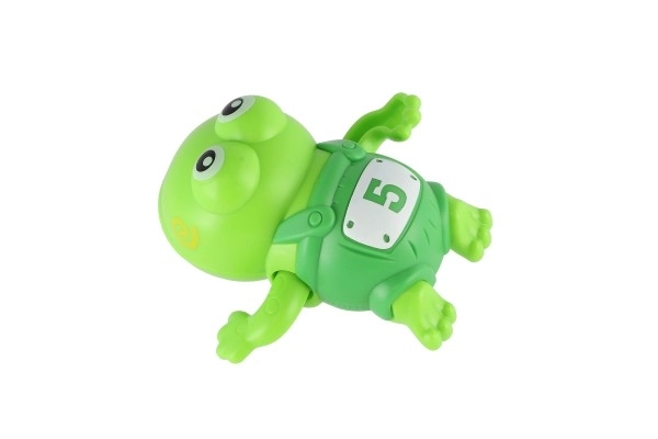 Pull-String Frog Bath Toy