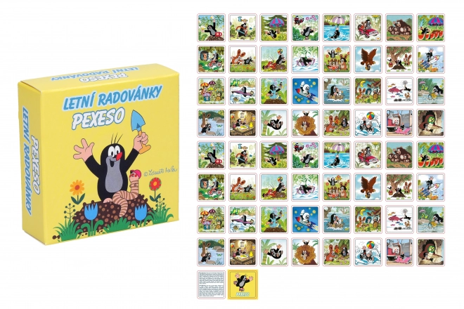 Krtek Summer Fun Memory Game