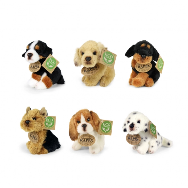 Exclusive Plush Dogs and Cats Eco-Friendly Display