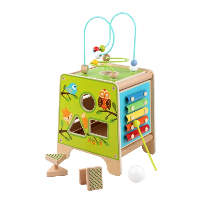 Lucy's Wooden Activity Cube with Xylophone