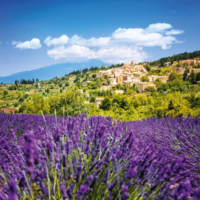 Koledar z opombami Provence 2026