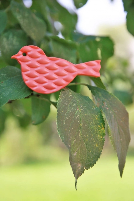 Water Decals - Foam Animals for Bath - Forest