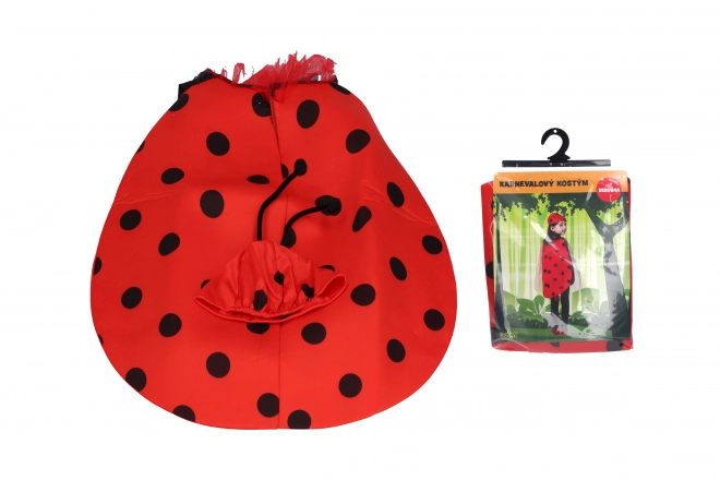 Ladybug Carnival Costume Set