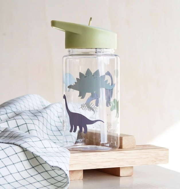 Kids Dinosaur Drinking Bottle