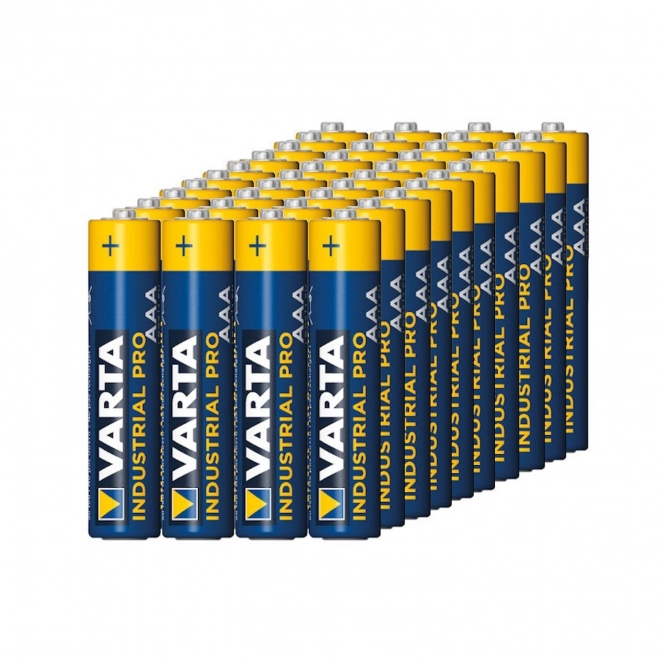 Industrial AAA Alkaline Battery Pack - 4 Pieces