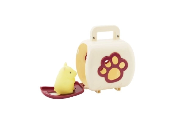 Pet Transport Box with Figure