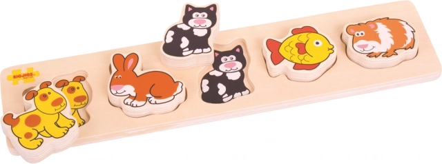 Learning through play: colors, shapes, and pets