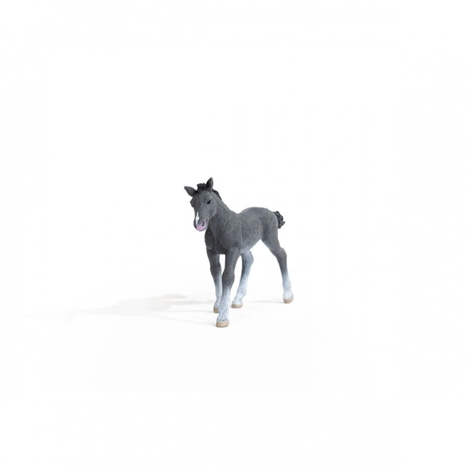 Trakehner Foal Figurine