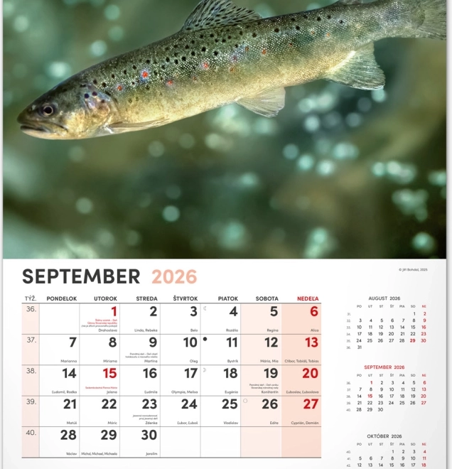 Wall Calendar Fishing 2026