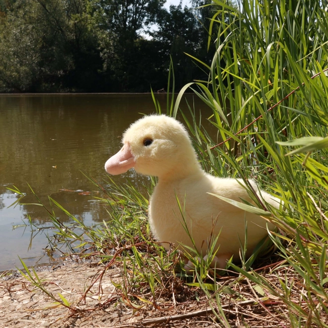 Plush Duck Toy ECO-Friendly 24 cm