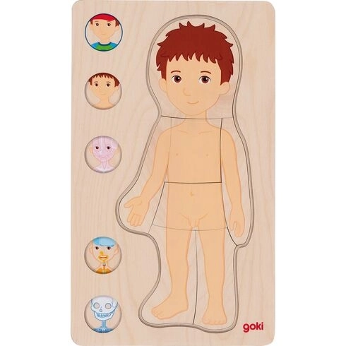 Layered Puzzle Boy - Human Body Inside Out