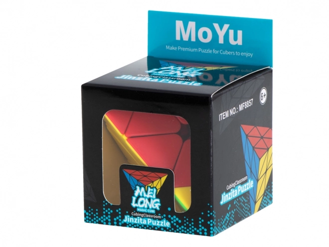 Logic Puzzle Cube Moyu